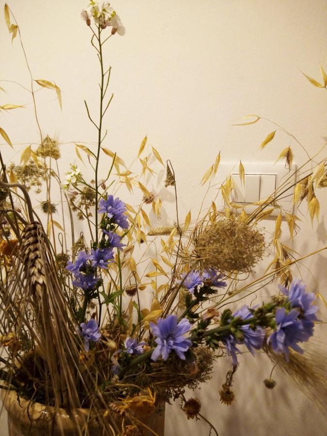 Cortile Calinea Bed & Breakfast Castrignano del Capo Luaran gambar